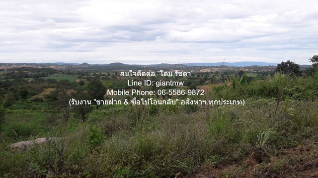 ขายที่ดินบนเนินเขา 10-1-5 ไร่ (ใบอ่อน: ส.ป.ก./สร.5 ก.) วังน้ำเขียว นครราชสีมา ราคา 4,500,000 บาท (โอนฟรี)