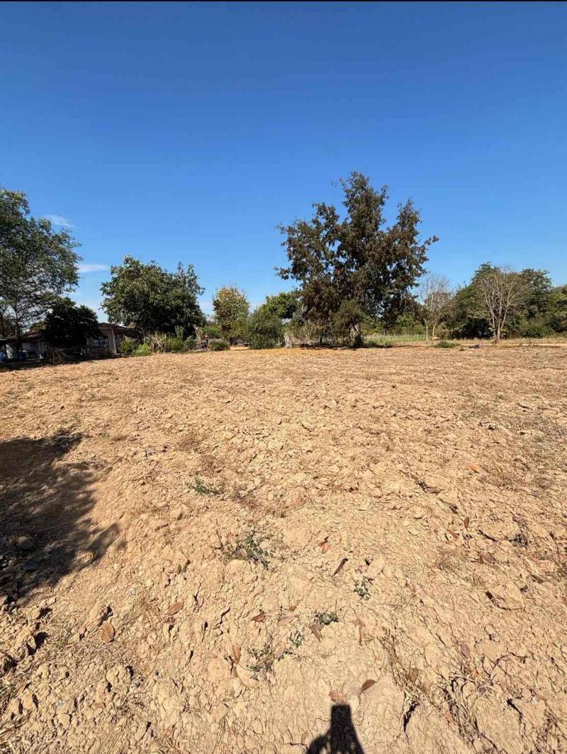 ขายที่ดินแปลงสวย ทำเลทอง อำเภอพนัสนิคม จังหวัดชลบุรี