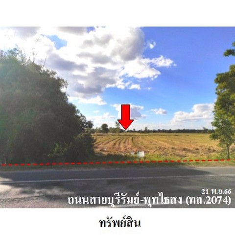 ขายที่ดินว่างเปล่า ถนน บุรีรัมย์-พุทไธสง (ทล.2074) ตำบล บ้านจาน อำเภอ พุทไธสง จังหวัด บุรีรัมย์