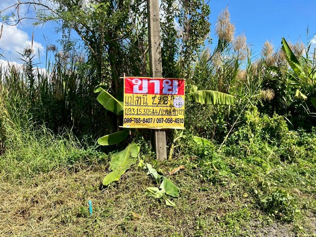 ขายที่ดินถมแล้ว  228 ตร.วา.  วังน้อย อยุธยา  ทำเลดีใกล้ถนนพหลโยธินขาเข้ากรุงเทพ   ZE604