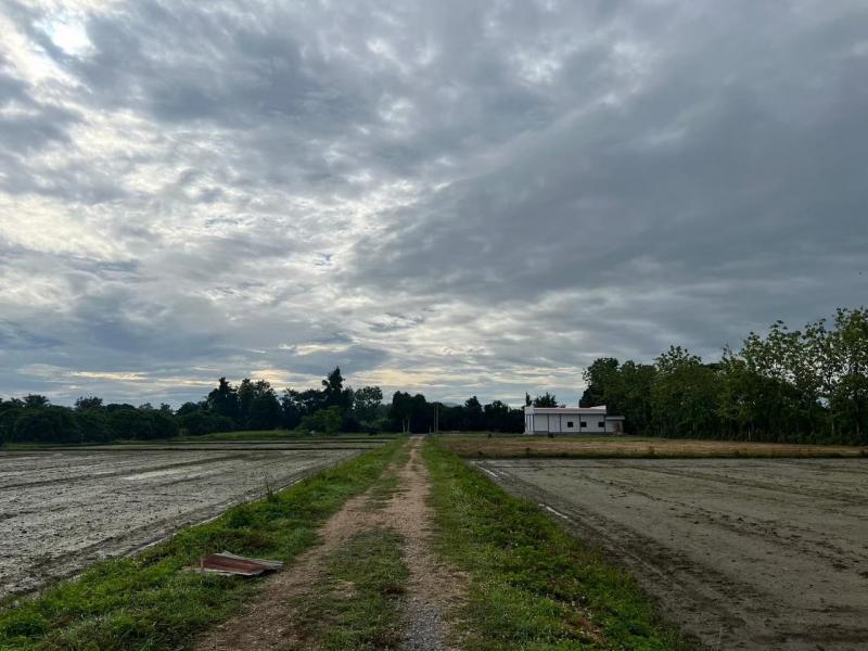 ขายที่ดิน เจ้าของขายเอง 400 ตารางวา ต.ชมภู อ.สารภี จ.เชียงใหม่ที่ตั้ง : ต.ชมภู อ.สารภี จ.เชียงใหม่ขนาดที่ดิน : 400 ตารางวารายละเอียดที่ดินถมแล้ว 150 ลำ ซื้อเก็บไว้ ราคาดี เจ้าของขายเองสถานที่ใกล้เคียง- โรงพยาบาลสารภี- ดูโฮม เชียงใหม่- วัดศรีดอนมูลราคา 1,880,000 บาท  สนใจติดต่อโทร. 0814720780