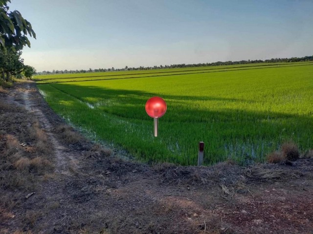 ที่ดินแบ่งแปลงขายเริ่มต้น 1 ไร่ถึง 10 ไร่ แขวงสามวาตะวันออก เขตคลองสามวา กรุงเทพฯ 