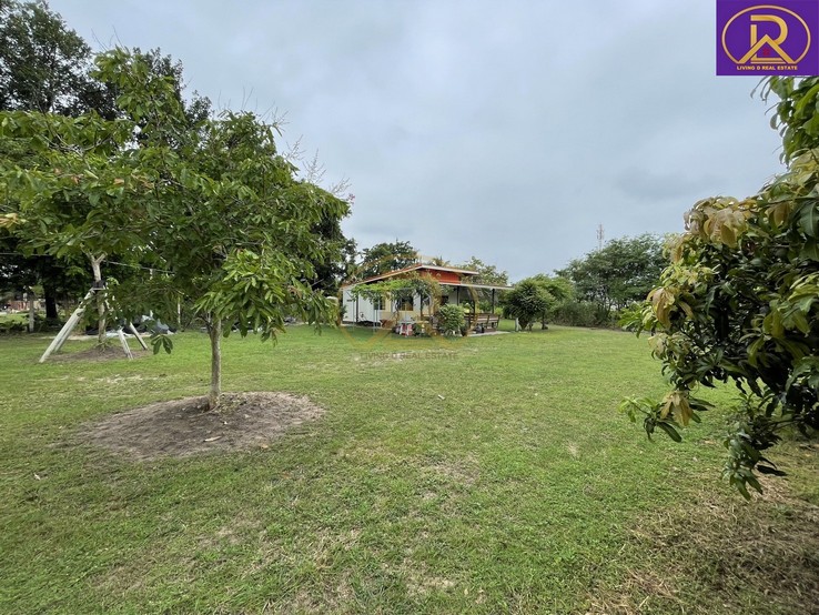 สนใจทรัพย์นี้ติดต่อ =>> คุณนุ้ย  083-197-9826, 064-5464241=>> Line Id :  living-dLVD-S0003 : ขายที่ดินทำบ้านสวน บ้านพัก ทำเลตำบลบ้านสวน 1-2-33 ไร่ พร้อมผลไม้ หลากหลายชนิด ต.บ้านสวน อ.เมืองชลบุรี จ.ชลบุรี บ้านเดี่ยวชั้นเดียว สไตล์บ้านสวย ในพื้นที่ 1-2-33 ไร่ กว้างมาก จะพักอาศัย หรือ จะทำเป็นร้านอาหารสไตล์ ในสวน ได้บรรยากาศเงียบสงบ เป็นส่วนตัว ปลูก ผัก ผลไม้ ต้นไม้ได้สบายๆปัจจุบันมี มะม่วง, ฝรั่ง, ขนุน, �