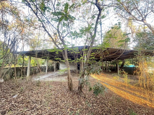  โซนประตูป่า อ.เมืองลำพูน ขายที่ดินพร้อมสิ่งปลูกสร้างเป็นอาคารโกดังเก่า ทำเลดี ห่างจากถนนซุปเปอร์ เพียง 1 กม. แหล่งชุมชน น้ำไฟ พร้อม หน้ากว้างประมาณ 50 เมตร สามารถทำแบ่งแปลงทำบ้านขาย หรือทำโกดัง เก็บสินค้า เดินทางสะดวก เพียง 40 นาที ถึงเชียงใหม่ เอินทางได้หลายเส้นทาง   เนื้อที่ 207 ตารางวา โฉนด 2 ใบ ขายยกแปลง 2.19 ล้าน ค่าใช้จ่ายในวันโอนคนละครึ่ง สนใจติดต่อ 094.2893646 มัสร