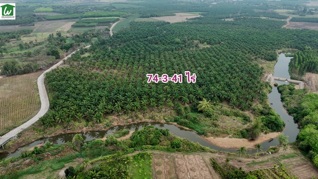 ขายที่ดินติดน้ำ อำเภอบ่อทอง ชลบุรี ขายที่ดินพร้อมสวนปาล์ม บ่อทอง ชลบุรี 74-3-41 ไร่ มีน้ำใช้เพื่อการเกษตรตลอดปี ราคาไร่ละ 790,000บาท  