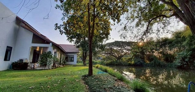 บ้านเดี่ยวหรูให้เช่า หลังใหญ่ พื้นที่กว้างบรรยากาศรีสอร์ แม่ริม