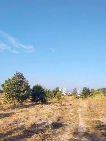 ขายที่ดินเปล่าพัทยา แปลงสวย ทำเลงาม โซนเขาตาโล FP-L01631 