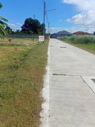 ขายที่ดินเปล่าแปลงสวย ซ. หนองใหญ่ หนองปรือ บางละมุง ชลบุรี FP-L01630 