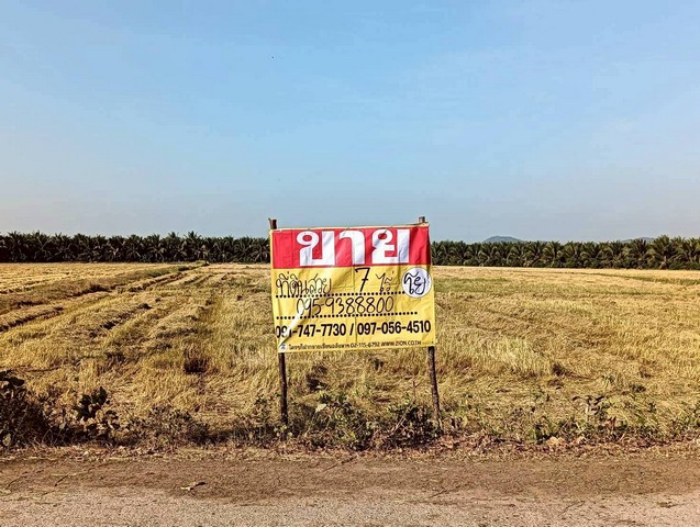 ขายที่ดิน 7 ไร่ อยู่ในซอยตรงข้ามวัดแคทราย ใกล้ถนนเพชรเกษม  สี่แยกห้วยชินสีห์    เมืองราชบุรี   ZW648 