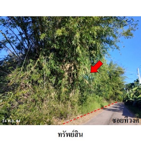 ขายที่ดินว่างเปล่า ถนน กลิ่นจันทร์ ตำบล สามแยก อำเภอ เลิงนกทา จังหวัด ยโสธร