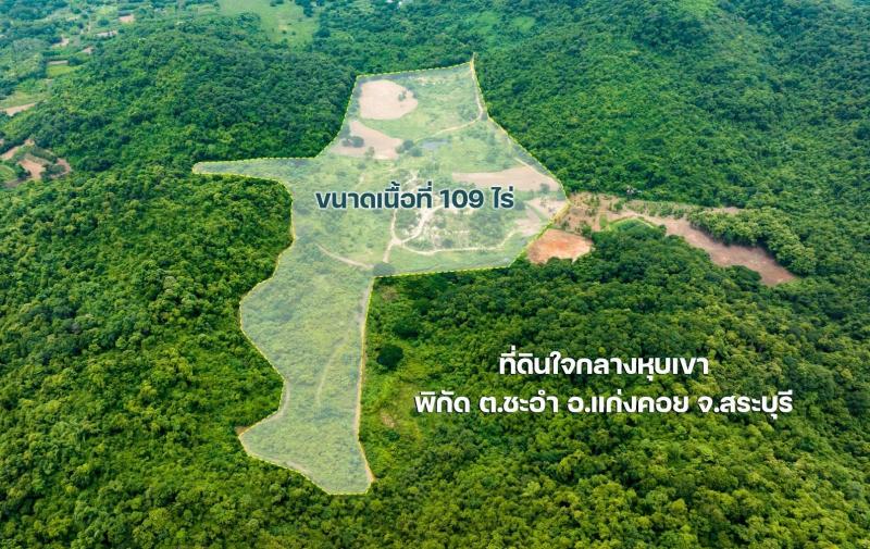 ขายที่ดินเปล่า ติดถนน 109 ไร่  เจ้าของขายเอง ตำบลชะอม อำเภอแก่งคอย จังหวัดสระบุรีที่ตั้ง : ตำบลชะอม อำเภอแก่งคอย จังหวัดสระบุรีขนาดที่ดิน : 109 ไร่รายละเอียดที่ดินติดถนน (เส้นบ้านนา-แก่นคอย 3222) อยู่ในเขตชุมชน ทำเลดี วิวเขาสวย มีลำธาร น้ำอุดมสมบูรณ์เหมาะสำหรับทำรีสอร์ท ทำแคมป์ปิ้ง ผจญภัย แอดเวนเจอร์ สวนทุเรียนและสถานที่ท่องเที่ยว หรือออกแบบบิ้วทำเลตามต้องการ 