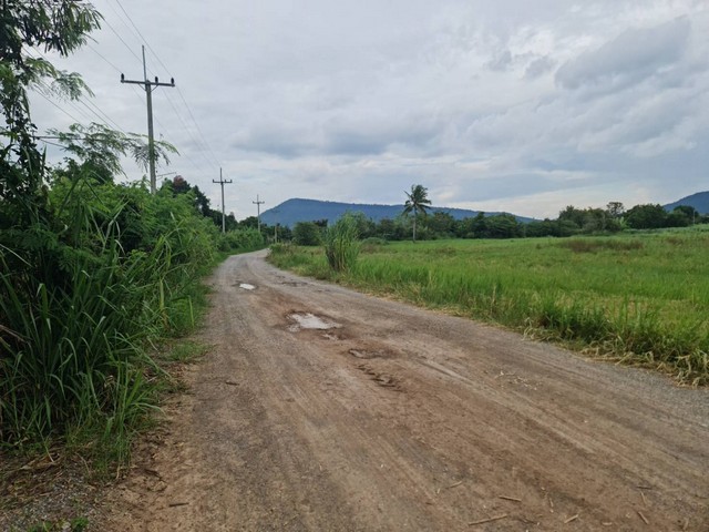 เดือนแห่งความรักหาทรัพย์สวยสักแปลง ที่ปากช่อง 2ไร่- 8ไร่ โฉนด ต.วังไทร อ.ปากช่อง จ.นครราชสีมา ไร่ละ  2.9 ลบ.สูงจากระดับน้ำทะเลมาก น้ำไฟพร้อม