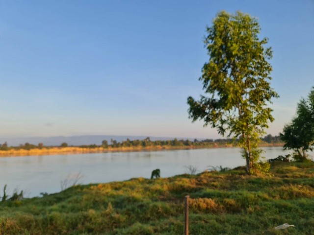 เดือนแห่งความรักหาทรัพย์สวยสักแปลง  ที่ติดแม่น้ำโขง ต.กุดบง อ.โพนพิสัย จ.หนองคาย  หลังติดแม่น้ำโขง ไร่ละ 2ล้านบาท โทร 096-882-1857