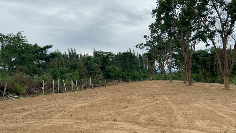 ขายที่ดินเปล่า ทำเลศักยภาพสูง ติดคลองแม่ประจันต์ อำเภอท่ายาง จังหวัดเพชรบุรี