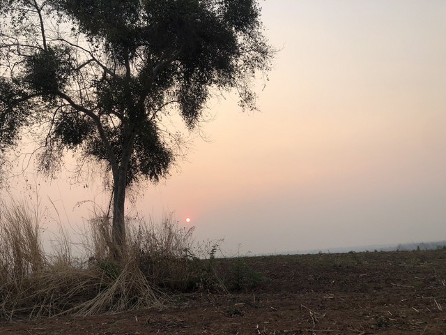 เดือนความรักหาทรัพย์สวยสักแปลง ธรรมชาติเนินเขา ที่ดินโฉนดแบ่งขาย หล่มเก่า เพชรบูรณ์ ใกล้ภูทับเบิก โทร 0968821857