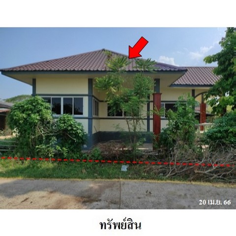 ขายบ้านเดี่ยว ถนน บ้านดงกลาง-เสลภูมิ (รอ.4024) ตำบล ท่าม่วง อำเภอ เสลภูมิ จังหวัด ร้อยเอ็ด