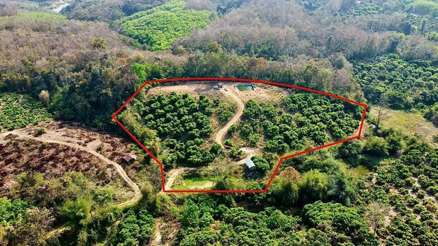 ขายที่ดิน น่าน เป็นเนินเขา 7 ไร่ 1 งาน (เพียง 1.4 ล้าน )ที่ดินแปลงสวย ทำเลดี ปัจจุบันเป็นสวนลำไย  เป็นเนินเขาวิวสวย  บรรยากาศดี เงียบสงบ มีสระน้ำ 3 สระ เอกสารสิทธิ์เป็นโฉนด น.ส4จ (ครุฑแดง)  สามารถทำเป็นบ้านพักตากอากาศหรืออยู่อาศัยได้ ￼ การเดินทางสะดวกสบาย ห่างจากตัวจังหวัดน่าน 58 ก.ม.  พิกัดตำแหน่ง -ตำบล เชียงคาน-อำเภอ  เชียงกลาง-จังหวัด  น่านhttps://maps.app.goo.gl/Q5NhGCWy27Uz6a5Z6?g_st=ic         เสนอราค