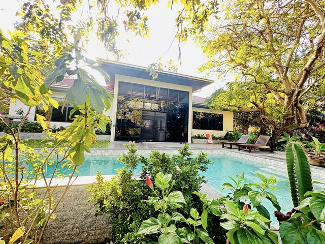 AOM 2576ขายบ้านเดี่ยวสุดหรูพร้อมสระว่ายน้ำขนาด 15 เมตร ที่บางเสร่ฝั่งเขาตั้งอยู่ในหมู่บ้านโอเชียนวิว ติดซันเพลย์ บางเสร่ขายราคา 15,900,000 ล้านบาท 4 ห้องนอน 6 ห้องน้ำ พร้อม ห้องเก็บของห้องครัวยุโรป มีพื้นที่ต่อเติมครัวไทยพื้นที่ขนาด 1 ไร่ 20 ตรว 1680 ตรมพื้นที่สวนกว้าง พร้อมระบบสปริงเกอร์สระว่ายน้ำขนาด 5x15 เมตร พร้อมจากุชชี่ต้นไม้สวยมากมาย เหมาะกับการพักผ่อนเงียบสงบ มี�