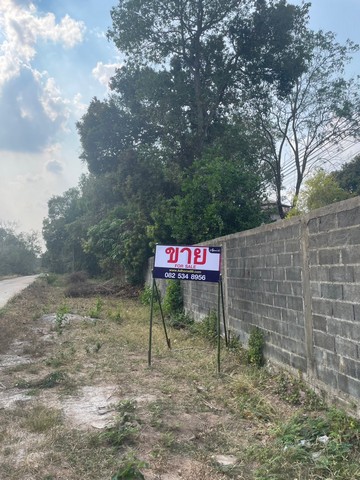 ข้อมูลทรัพย์โดยละเอียดขนาดเนื้อที่: 1-0-62 ไร่สถานะ: ที่ดินถมแล้ว พร้อมก่อสร้างได้ทันทีหน้ากว้าง: ติดถนนคอนกรีตยาวถึง 140 เมตร x ลึก 35 เมตรการเดินทาง: เข้า-ออกได้หลายทาง สะดวกสบายทำเลศักยภาพสูงห่างจากถนน 4 เลน หน้า ม.อุบลฯ เพียง 800 เมตร อยู่ในแหล่งพักอาศัยของนักศึกษาจำนวนมากเพื่อนบ้านคุณภาพติดกับร้านก๋วยเตี๋ยวเรือภูผา และหอพักภูผาเพลส รอบข้างมีทั้งคลินิก คอนโด