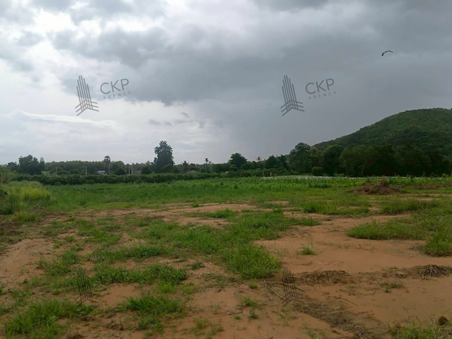 ขาย ที่ดินเปล่า เนื้อที่ขนาด 2 ไร่ ใกล้ถนนทางไปน้ำตกป่าละอู ไม่ไกลจากแหล่งท่องเที่ยว ต.หนองพลับ อ.หัวหิน ประจวบคีรีขันธ์ สนใจติดต่อสอบถามได้ค่ะรายละเอียด (Description)- ขนาด 2 ไร่ 2 งาน 64 ตร.วาการเดินทาง - ถนนหมายเลข 3218  650 เมตร- ถนนหมายเลข 2052  3.2 กิโลเมตร- ถนนเพชรเกษม  13 กิโลเมตรสถานที่ใกล้เคียง (Nearby Placess)- สำนักงานเทศบาลตำบลหนองพลับ  1.2 กิโลเมตร- วัดหนองพลับ  3.7 กิโลเมตร- โรงเรียนหนองพ