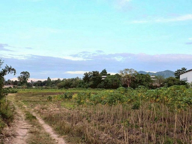 TEL:088-559 5199 คุณเอLine:https://line.me/ti/p/C0eGe0whLXขายที่ดิน ใกล้มอเตอร์เวย์ เขาไม้แก้ว - ตะเคียนเตี้ย ชลบุรีราคา 3.5 ล้าน / ต่อไร่โดยรวม 112 ล้านบาท(ตารางวาละ 8,750 บาท)เนื้อที่ 32 ไร่ ผังสีเหลืองหน้ากว้าง 43 เมตร ติดถนนสาธารณะ เพียง 500 เมตรจากถนนมอเตอร์เวย์ ช่วงตะเคียนเตี้ย บางละมุง ชลบุรีไปท่าเรือแหลมฉบังเพียง 20 นาทีT : A10