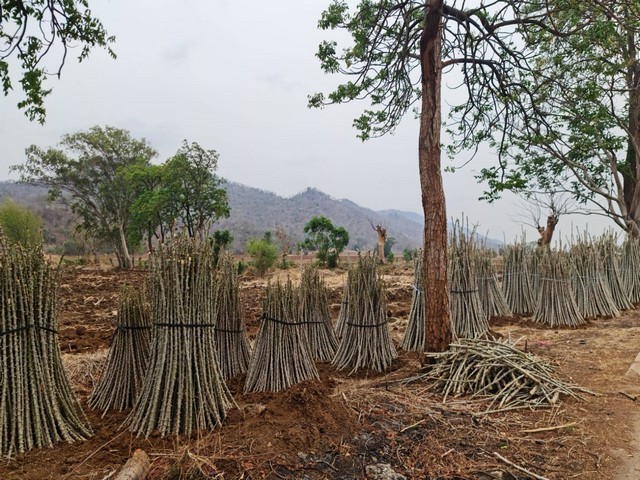 ขายที่ดินติดภูเขา เลขที่โฉนด 91711 ต.พระนอน อ.เมือง จ.นตรสวรรค์ 5ไร่เศษ แบ่งโฉนดขาย ไร่ละ 300,000  บาท โทร 096-882-1857 เอกสารสิทธิ์โฉนดครุฑแดง  ที่สวยวิวสวย วิวดีมากมาย อยู่ระหว่างหุบเขา 2 ลูก  ขนานกัน ดินดีสมบูรณ์ เพาะปลูกได้งาม  ใกล้แหล่งชุมชน  ใกล้ UFO เขากะลา ถิ่นมหัศจรรย์น่าพิสูจน์มนุษย์ต่างดาว   ใกล้มูลนิธิปากน้ำโพ  อยู่ใกล้วัดคีรีสวรรค์   ใกล้ ส.คอบร่า แคมป์  ไม่ไกลจากโรงเร