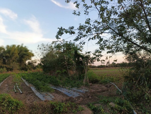 ขายที่ดินติดแม่น้ำโขง  เลขที่โฉนด 17851 เนื้อที่  18-2-70 ไร่ ต.กุดบง อ.โพนพิสัย จ.หนองคาย ด้านหน้าติดถนนโยธาธิการ หนองคาย ด้านหลังติดแม่น้ำโขง  ซื้อทรัพย์โปรพิเศษผ่อนโดยตรงกับเจ้าของได้ ทรัพย์ดีราคาคุยกันได้แถมวางดาวน์ผ่อนต่อได้ ขายยกแปลงไร่ละ 800,000 บาท  แบ่งขายไร่ละ 1 ล้านบาท ใกล้สะพานมิตรภาพไทย - ลาว  อยู่ในแหล่งชุมชน ใกล้โรงเรียน ใกล้โรงพยาบาล ใกล้วัดสำคัญทางพุท