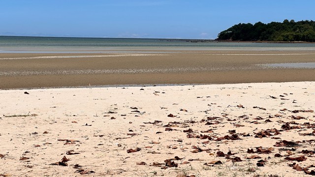 ขายที่ดินติดทะเล หาดสะพลี 119 ตร.วา และ 145 ตร.วา  ราคา 5.9ลบ. และ 7.2 ลบ. ขายรวม 2 แปลง 13 ล้านบาท 264 ตร.วา เช่า 100,000 บาท วางประกัน 3 เดือน ที่ดินริมหาดส่วนตัว ที่ดินติดทะเลหาดสะพลี ถัดไปคือหาดทุ่งวัวแล่น ทะเลสวยน้ำใสสีครามทรายขาว ทิวทัศน์สดชื่นชุ่มฉ่ำเย็นสบาย สวย โดดเด่น สง่า ที่ดินหายาก เหลือไม่กี่แปลงแล้วในแถบนั้น ตรงอ่าวนี้ สโลแกนคือ หาดสวย น้ำใส หนึ่งในสยาม ได้รับการรั�