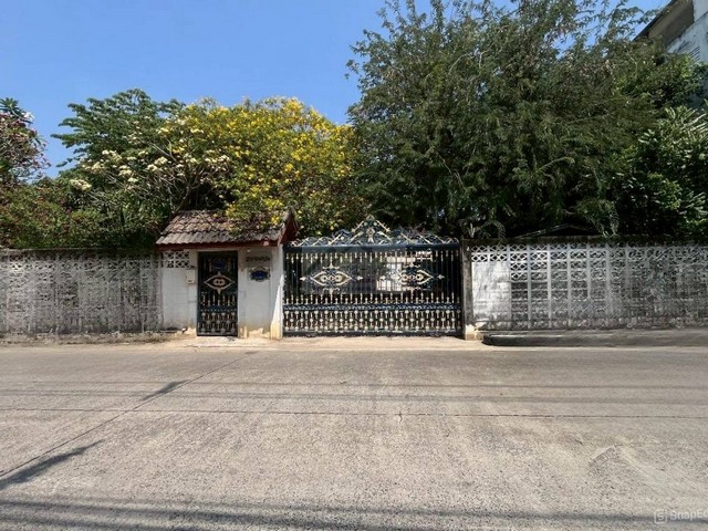 ขายบ้านเดี่ยว 2 ชั้น 224 ตรว. ซอยนวมินทร์95 พื้นที่กว้างขวาง ต้นไม้ร่มรื่น ใกล้แยกโพธิ์แก้ว เกษตรนวมินทร์ ลาดพร้าว เลียบด่วน *** ราคาขาย 16.9 ล้านบาทติดต่อ:: ชยา โทร/ID Line:: 0942823961   Link Line:: https://line.me/ti/p/3xFA1An8Kcรหัส# T26-386บ้านเดี่ยว 2 ชั้น ซอยนวมินทร์95 พื้นที่กว้างขวาง ต้นไม้ร่มรื่น ใกล้แยกโพธิ์แก้เนื้อที่ 224 ตรว. 3 ห้องนอน 3 ห้องน้ำที่จอดรถกว้างขวาง ต้นไม้ร่มรื่น  ซอยนวมินทร์ 95 ใกล้แยกโพธิ์แก้ว �