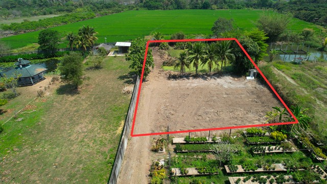 ขายที่ดินบรรยากาศธรรมชาติ อำเภอสารภี จังหวัดเชียงใหม่ที่ดินแปลงสวย ทำเลดี เดินทางสะดวก เหมาะสำหรับสร้างบ้านพักอาศัย บ้านสวน รีสอร์ทขนาดเล็ก หรือซื้อเก็บลงทุนในอนาคต ตำแหน่งที่ดิน : ตำบลชมภู อำเภอสารภี เชียงใหม่รายละเอียดที่ดิน ขนาด 1 ไร่ 1 งาน 19 ตารางวา พื้นที่ประมาณ 519 ตารางวา มี สระน้ำภายในที่ดิน ดินดี บรรยากาศธรรมชาติ เดินทางสะดวก เข้าออกง่าย ราคาขายเ�