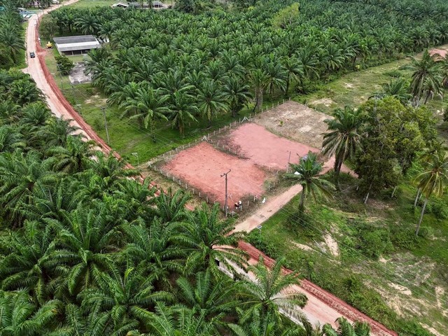 ขายที่ดินใกล้หาดบางเบิด หน้าแปลงที่ดินติดถนนทางหลวง ใกล้หาดบางเบิด 1 กม.++ ขนาดที่ดิน 50-1-18 ไร่ โฉนดครุฑแดง พร้อมโอน ค่าโอน คนล่ะครึ่ง ++ ขายราคาไร่ล่ะ 8 แสน -1.5 ลบ.ด้านหน้าติดถนนทางหลวงหมายเลข 1015 พิกัด: ใกล้หาดบางเบิด ต.ทรายทอง อ.บางสะพานน้อย จ.ประจวบฯสถานะที่ดิน:++ ภายในที่ดินเป็นสวนทุเรียนที่เก็บผลผลิตได้แล้วจำนวน 300 ต้นเก็บผลผลิตขายได้ 7-8 แสนต่อปี++ ทุเรียนอายุ 3 ปี �