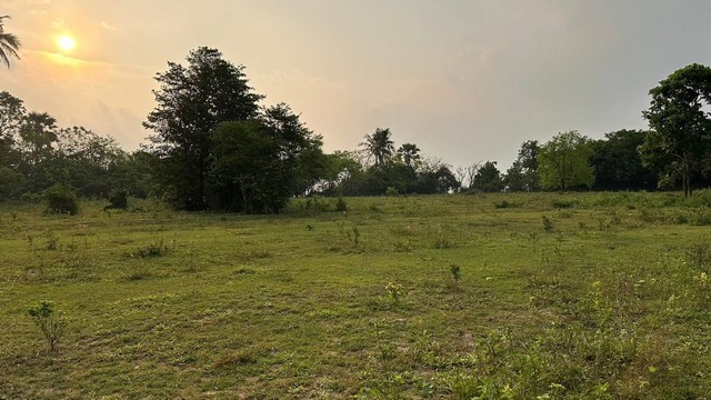 ขายที่ดิน Seaview ติดทะเล บนผาฝั่งแดง และที่ดินใกล้ทะเลห่างไม่มากราคาดีดี มีให้เลือกหลากหลายแปลงสวยๆเนื้อที่ตามที่ต้องการตั้งแต่ 100 วา ขึ้นไป ที่ดินติดทะเลผาฝั่งแดง เนื้อที่ 2-6ไร่ ขายราคาไร่ล่ะ 3.5 ล้านบาทโฉนดครุฑแดง พร้อมโอน ค่าใช้จ่ายในการโอน คนละครึ่ง+++ ไฟฟ้า ประปา เข้าถึง+++ มีทางสาธารณะเข้าถึงที่ดิน การเดินทางสะดวก+++ ห่างจากถนนทางหลวง 300 เมตรที่ตั้ง: หาดฝั่ง