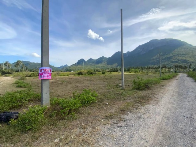 ขายที่ดิน สามร้อยยอด จังหวัดประจวบคีรีขันธ์ ทำเลดี # ห่างทะเลเพียง 2 กม.# วิวภูเขาสวย บรรยากาศดี  เนื้อที่ 100 ตร.ว.** ราคา 500,000 บาท##สนใจติดต่อ 095-335-8396ขายที่ดิน สามร้อยยอด จังหวัดประจวบคีรีขันธ์ ทำเลดี # ห่างทะเลเพียง 2 กม.# วิวภูเขาสวย บรรยากาศดี  เนื้อที่ 100 ตร.ว.** ราคา 500,000 บาท##สนใจติดต่อ 095-335-8396