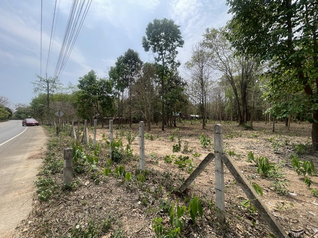 ที่ดินใกล้สนามบินน่าน เขต อ.เมืองน่าน บ้านผาสิงห์  ห่างสนามบิน 5 กม. ที่ดินทรงสี่เหลี่ยมผืนผ้าติดถนนหลวงชนบท ทำเลดี เงียบสงบน้ำไฟ พร้อม น้ำไม่ท่วม 100% ไม่ต้องถม ในพื้นที่มีต้นไม้ยืนต้น สวยงามร่มรื่น ห่างจากตัวเมืองวัดภูมินทร์เพียง 3.9 กม.เดินทางสะดวก ได้หลายเส้นทาง เหมาะทำรีสอร์ท ที่พัก คาเฟ่ หรือบ้านสวน  ขาย 4 ไร่ 2 งาน 48 ตารางวา  (1,648 ตารางวา) ยกแปลง ตารางวาละ 8,750 บา�