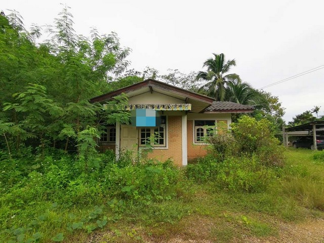  รหัสทรัพย์ (Code ID) :  PTT-26-P00131  ราคา  1,367,000 บาท (ราคาต่อรองได้) ▸ เนื้อที่  319.70 ตารางวา (3 งาน / 19.70 ตร.ว)  พื้นที่ใช้สอย 151.23 ตารางเมตร   ▸ 3 ห้องนอน 1 ห้องน้ำ    ▸ 1 ที่จอดรถ   บ้านเดี่ยวหันไปทางทิศ   พิกัดทรัพย์ :  https://maps.app.goo.gl/naoYRLNKfHb4Z2UY9  สถานที่ใกล้เคียง ▸ใกล้วิทยาลัยเกษตรและเทคโนโลยีกระบี่ ▸ใกล้โรงพยาบาลเขาพนม ▸ใกล้สถานีอนามัยบ้านควน ▸ใกล้องค์การบริหารส่วนตำบล ห้วยยูง  สอบถามเพิ่มเติม / นัดชม โ�