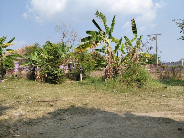 ขายที่ดินปากช่อง ทำเลทอง มีอนาคต ที่ประชุมให้เป็นเมืองหลวงที่ 2 ของประเทศไทยที่สำคัญความเจริญเข้ามาเยอะมากมาย โดยเฉพาะรถไฟฟ้าความเร็วสูง ถนนทางM6 แบ่งขาย 2ไร่- 8ไร่ โฉนด ต.วังไทร อ.ปากช่อง จ.นครราชสีมา โคราชที่ดินราคาพุ่งสูงขึ้นไวเรื่อยๆอย่างต่อเนื่อง รีบซื้อเก็บไว้น่าลงทุนเก็งกำไร ที่สูงปลอดภัยน้ำท่วม++ ไร่ละ  2.9 ล้านบาท พร้อมโอน++ สูงจากระดับน้ำทะเลประมา�