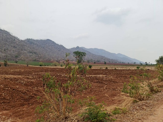 ขายที่ดินติดภูเขา เลขที่โฉนด 91711 ต.พระนอน อ.เมือง จ.นตรสวรรค์ 5ไร่เศษ แบ่งโฉนดขาย ไร่ละ 300,000  บาท โทร 096-882-1857 เอกสารสิทธิ์โฉนดครุฑแดง  ที่สวยวิวสวย วิวดีมากมาย อยู่ระหว่างหุบเขา 2 ลูก  ขนานกัน ดินดีสมบูรณ์ เพาะปลูกได้งาม  ใกล้แหล่งชุมชน  ใกล้ UFO เขากะลา ถิ่นมหัศจรรย์น่าพิสูจน์มนุษย์ต่างดาว   ใกล้มูลนิธิปากน้ำโพ  อยู่ใกล้วัดคีรีสวรรค์   ใกล้ ส.คอบร่า แคมป์  ไม่ไกลจากโรงเร