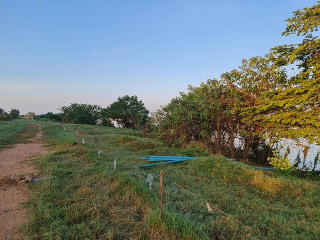 ขายที่ดินติดแม่น้ำโขง  เลขที่โฉนด 17851 เนื้อที่  18-2-70 ไร่ ต.กุดบง อ.โพนพิสัย จ.หนองคาย ด้านหน้าติดถนนโยธาธิการ หนองคาย ด้านหลังติดแม่น้ำโขง  ซื้อทรัพย์โปรพิเศษผ่อนโดยตรงกับเจ้าของได้ ทรัพย์ดีราคาคุยกันได้แถมวางดาวน์ผ่อนต่อได้ ขายยกแปลงไร่ละ 800,000 บาท  แบ่งขายไร่ละ 1 ล้านบาท ใกล้สะพานมิตรภาพไทย - ลาว  อยู่ในแหล่งชุมชน ใกล้โรงเรียน ใกล้โรงพยาบาล ใกล้วัดสำคัญทางพุท