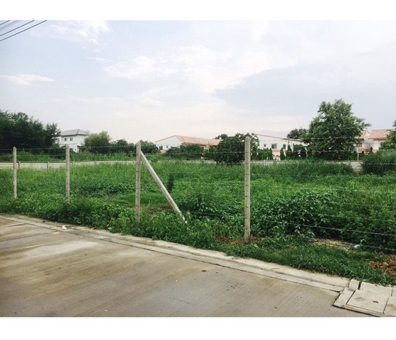 ขาย ที่ดินเปล่า แยก บางสีทอง ขนาด 317 ตารางวาที่ตั้ง : ถนน.นครอินทร์ ต.บางสีทอง อ.บางกรวย จ.นนทบุรีรหัสทรัพย์ SSS-240012รายละเอียดบ้าน- เนื้อที่ 317 ตารางวา - แปลงที่ดินกว้าง 42 เมตร ลึก 30 เมตร- ถนนหน้าแปลง กว้าง 8.5 เมตร - หน้าแปลงที่ดินหัน ทิศ ตะวันออก- เหมาะทำออฟฟิศ /  ที่อยู่อาศัย / โกดังเก็บสินค้า / เพื่อการลงทุนสถานที่ใกล้เคียง- บิ๊กซีติวานนท์- ใกล้ห้าง  ตลาดสด- ตลาดสิริมงคล- ตลา�