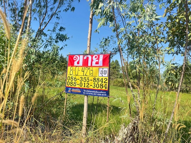 ZT865 ขายที่ดิน ใกล้สวนพระพิฆเนศ ตะเคียนเตี้ยเนื้อที่  8-0-42 ไร่กว้าง 78 เมตร ลึก 152 เมตรที่ตั้ง : ตำบลตะเคียนเตี้ย อำเภอบางละมุง จังหวัดชลบุรีสถานที่ใกล้เคียง-สวนพระพิฆเนศ-สวนสาธรณะหนองตะไกร- ศูนย์พัฒนาเด็กเล็กตะเคียนเตี้ย- สนามกีฬาเทศบาลตะเคียนเตี้ยขาย 40,000,000 บาท / 5,000,000 บาทต่อไร่ สนใจติดต่อ 08635588420880123084