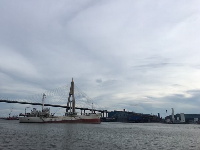 ขายที่ดินติดแม่น้ำเจ้าพระยา 23 -1-20 ไร่ที่ดินติดแม่น้ำเจ้าพระยา พื้นที่สีม่วง เหมาะกับโรงงาน/โกดัง หน้ากว้าง 56 เมตร ติดน้ำ (สามารถสร้างท่าเรือได้) มีซอยเข้าถึงที่ดิน รถ trailerเข้าได้ ติดถนน 2 วงแหวน วงแหวนรอบนอกด้านใต้และวงแหวนอุตสาหกรรม ห่างข้างละ 500 เมตร23 ไร่ 1 งาน 20 ตรวตารางวาละ30,000 บาทราคา 279,600,000 บาทซอยเทศบาลสำโรงใต้21 ใกล้โรงเรียนอนุบาลมารดา ถนนปู่เจ้าสมิงพราย วัดบ�