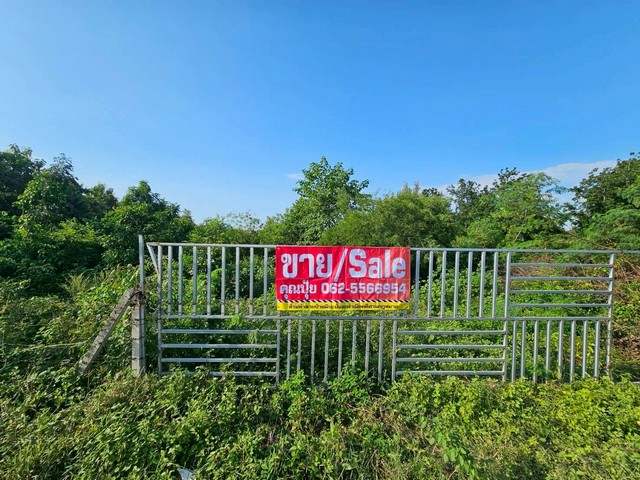 ขายที่เปล่าราชบุรีติดถนนทางหลวงชนบทขายที่ดินติดถนนหน้ากว้างต.หินกอง อ.เมือง จ.ราชบุรีเนื้อที่ 10 ไร่ 1 งาน 50 ตร.วขายไร่ละ 490,000 บาทติดถนนหน้ากว้าง70ม.ลึก230ม.ใกล้ศูนย์การเรียนรู้เศรษฐกิจพอเพียงใกล้ศูนย์ปฏิบัติธรรมหลวงพ่อวิริยังค์สนใจติดต่อคุณปุ้ยTel : 062-5566954Line ID : 0616649897