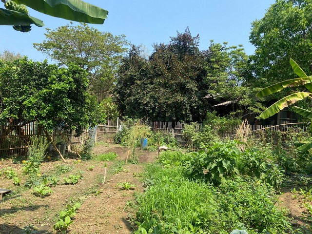 ขายที่ดิน 239ตรว. 1.55ลบ. ถนน น้ำ ไฟฟ้า ใกล้ รร.แม่ออนวิทยาลัย ต.ร้องวัวแดง อ.สันกำแพง เชียงใหม่ขายที่ดินเปล่า พื้นที่ 2 งาน 39 ตรว. เอกสารโฉนดครุฑแดงราคา 1.55 ลบ. (1,550,000 บาท) โอนคนละครึ่งติดถนนคอนกรีตหน้ากว้าง 19ม. ลึก 53 ม.ถนนคอนกรีต กว้าง 4 เมตรน้ำประปา ไฟฟ้า ผ่านหน้าแปลงใกล้ ถนนหลัก 2 เลน เข้าซอย 72 ม.ใกล้ รร.แม่ออนวิทยาลัย 450 ม.ใกล้ รพ.แม่ออน 1.1 กม.ใกล้ ถนน 1317 เชียงใหม่-แม่ออน 1.2 กม.ใกล้ ด�