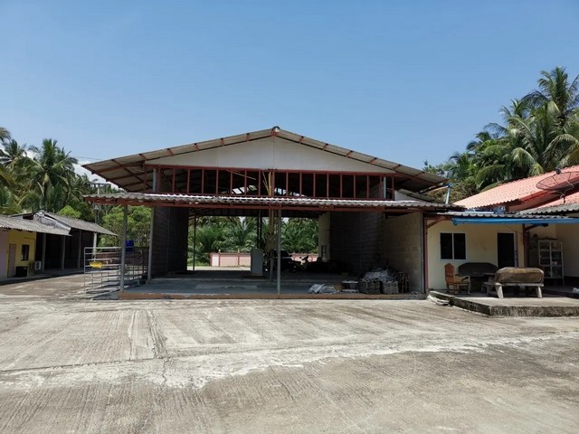   ขาย บ้านเดี่ยว/ทาวน์เฮ้าส์/คอนโด โครงการ โกดัง บางสะพาน ถนน สายท่าหล่อ-หนองระแวง ประจวบคีรีขันธ์ถนน สายท่าหล่อ-หนองระแวง (ปข4007) ตำบล ธงชัย อำเภอ บางสะพาน จังหวัด ประจวบคีรีขันธ์  ราคาโปรโมชั่น  1,444,000    บาท    ลดจาก   5,008,000   บาท ราคาโปรโมชั่นตั้งแต่วันที่  2 มีนาคม - 31 พฤษภาคม 2569  รายละเอียดทรัพย์ -  เนื้อที่ 1200.00 ตร.ว.  พื้นที่ใช้สอย 2,850.00 ตร.ม. -  บ้านหันไปทางทิศ เหนือ  พิกัดทรัพย์ : https:/