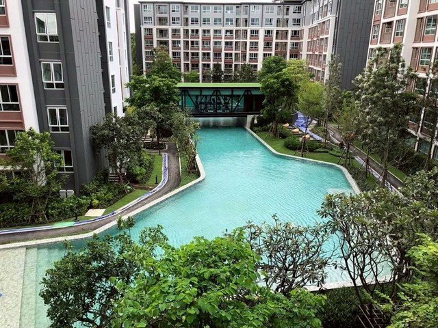 ให้เช่า 28,000 บาท/เดือน 2 นอน 2 น้ำ #Dcondo #Ping #วิวสระว่ายน้ำ บรรยากาศผ่อนคลาย ตรงข้าม #CentralFestival พร้อมเข้าอยู่ อยู่สบาย เดินห้างได้ทุกวัน ไลฟ์สไตล์ครบจบในที่เดียวรายละเอียดห้องชั้น 4 ตึก A2 ห้องนอน | 2 ห้องน้ำ | 1 ห้องนั่งเล่นโซนครัวแยกเป็นสัดส่วนเฟอร์นิเจอร์ + เครื่องใช้ไฟฟ้าครบหิ้วกระเป๋าเข้าอยู่ได้ทันทีอัตราค่าเช่าสัญญา 1 เดือน: 35,000 บาท/เดือนสัญญา 3 เดือน: 32,000 บาท/เดือนสัญญา 1 ปี