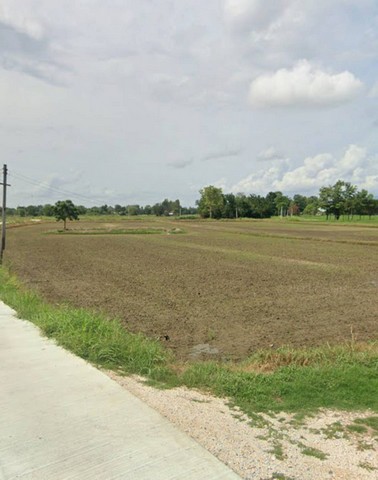 #ขายที่ดิน อำเภอทัพทัน จังหวัดอุทัยธานี 3 แปลงติดกันเนื้อที่รวม 8 ไร่ 1 งาน 94 ตารางวา#รายละเอียดทรัพย์# ที่ดินสวย น้ำชุ่มฉ่ำ ทำนาได้ทั้งปี  บรรยากาศดี มีเพื่อนบ้านใครกำลังมองหาที่ดินทำเกษตร หรือสร้างบ้านสวนวัยเกษียณ ที่นี่ตอบโจทย์สุดๆ ค่ะ# รายละเอียดที่ดิน:เนื้อที่รวม 8-1-94 ไร่ (แบ่งเป็น 3 แปลง)แปลงที่ 1 พื้นที่ 1 ไร่ 81 ตารางวาแปลงที่ 2 พื้นที่ 2 ไร่ 63 ตารางวาแปลงที่ 3 พื