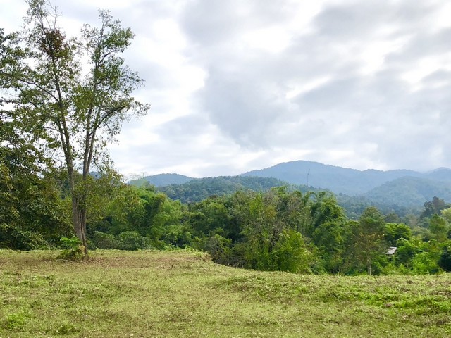 # ขายที่ดิน  22 ไร่    อ.  แม่ออน  เชียงใหม่ใกล้แหล่งท่องเที่ยวเช่นม่อนกุเวร   สายมู  ต้องมาแม่กำปอง   และมีรีสอท โรงแรมขึ้นใกล้ๆ หลายที่  เหมาะกับการลงทุน    วิวเขา  ธรรมชาติมาเต็มๆเนินนิดๆ  มีแหล่งน้ำในที่ติดถนนยาว  2 ด้านเดินทางจากสันกำแพง   30 นาที่ขาย ไร่ 1.5  ล้าน  โอนคนครึ่งสนใจสอบถามโทร / line. 0828952449. กิต