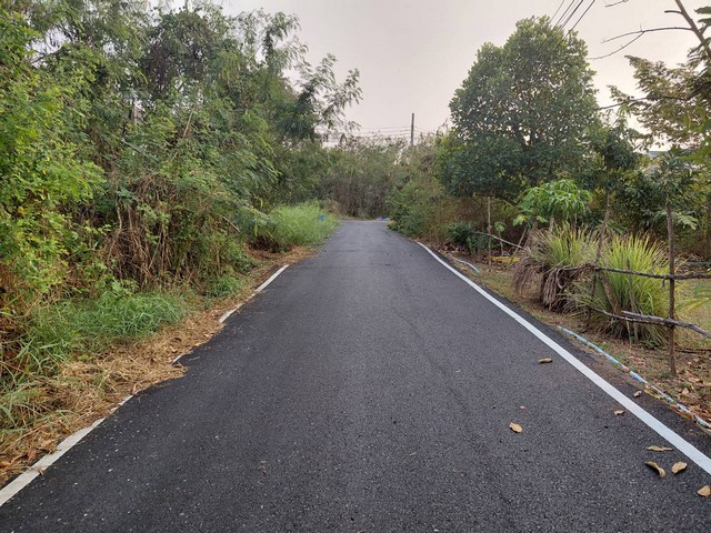 ขายบ้านเดี่ยว 2 ชั้น 90 ตร.วา บ้านเลขที่ 19/16 หมู่ที่ 11 ต.บ้านใหม่  อ.บางใหญ่ จ.นนทบุรี บนเลขที่โฉนด 62488 และ 62185 ต.บ้านใหม่  อ.บางใหญ่ จ.นนทบุรี  ขาย 5.3 ล้านบาท  เช่า 25,000 บาท/เดือน ซื้อผ่อนตรงเจ้าของได้ วางดาวน์ 30% ที่เหลือผ่อน 5ปี +++ เนื้อที่กว้างขวาง มีโรงจอดรถขนาดใหญ่ ปลูกต้นไม้ทำสวนได้+++ อยู่บางใหญ่แหล่งเจริญ คมนาคมสะดวกสบาย+++ มาตรฐานโครงสร้างผ่านการขออนุญาต+++ ใกล้หาดเติมรัก