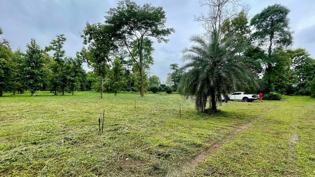 # ขายที่ดิน13 ไร่  แม่แตง  ต อินธขิน   เชียงใหม่เหมาะทำสวน  บ้านพักแนวเกษตรเห็นวิวภูเขา   วิวธรรมชาติเข้าซอยบ้านปางกว้าง 800  m.ติดถนน น้ำไฟ ถึงขาย  12 ล้าน  / โอนคนครึ่งสอบถาม  โทร / line. 0828952449   กิต# ขายที่ดิน13 ไร่  แม่แตง  ต อินธขิน   เชียงใหม่เหมาะทำสวน  บ้านพักแนวเกษตรเห็นวิวภูเขา   วิวธรรมชาติเข้าซอยบ้านปางกว้าง 800  m.ติดถนน น้ำไฟ ถึงขาย  12 ล้าน  / โอนคนครึ่งสอบถาม  โทร / line. 0828952449   กิต