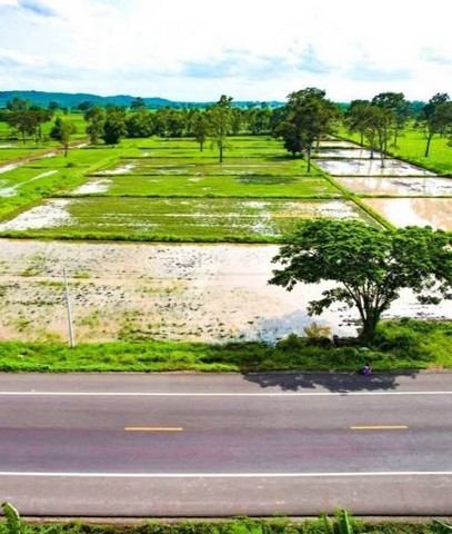 #ขายที่นาติดถนนดำ วิวภูเขา ใกล้ปราสาทหินเมืองต่ำ อำเภอประโคนชัย จังหวัดบุรีรัมย์ เนื้อที่ 10 ไร่ 1 งาน 8 ตารางวา(2 โฉนด)#รายละเอียดและที่ตั้งทรัพย์-ที่ดินขนาด 10 ไร่ 1 งาน 8 ตารางวา(2 โฉนดติดกันแปลงแรกเนื้อที่ 5 ไร่ 76 ตารางวา แปลงที่ 2 เนื้อที่ 5 ได้ 32 ตารางวา)-ตั้งอยู่ติดถนนดำ ตำบลจรเข้มาก อำเภอประโคนชัย จังหวัดบุรีรัมย์-ใกล้ปราสาทหินเมืองต่ำ เพียง 1 กิโลเมตร-ใกล้ปราสาทเ